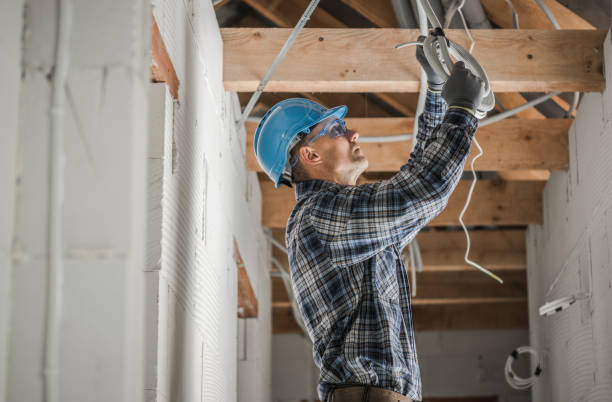 Best Electric Panel Repair  in Weyauwega, WI